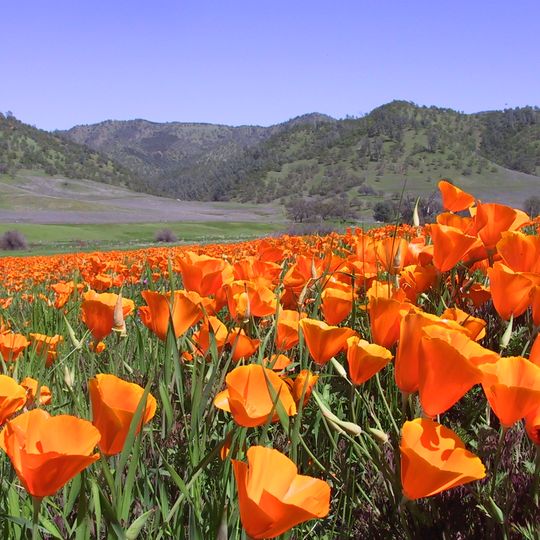 Berryessa Snow Mountain National Monument