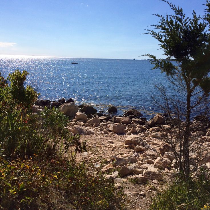 Parc d'État de Bluff Point