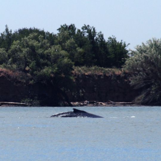 Rio Vista