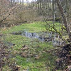 Töckelhausener Bachtal