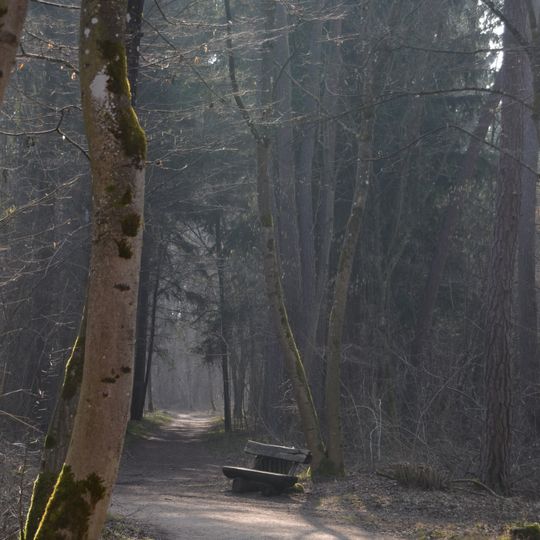 LSG Zucheringer Wäldchen