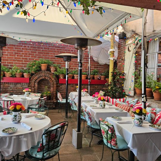 The Ivy