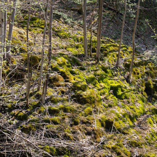 Kalksinterbäche nördlich von Frankendorf