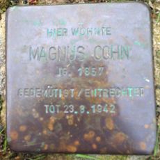 Magnus Cohn