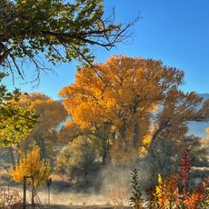 Dayton State Park