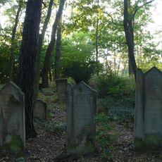 Jewish cemetery in Trzciel