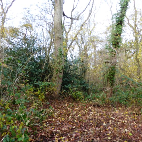 Pasture and Asplin Woods