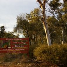 Dryandra Woodland National Park