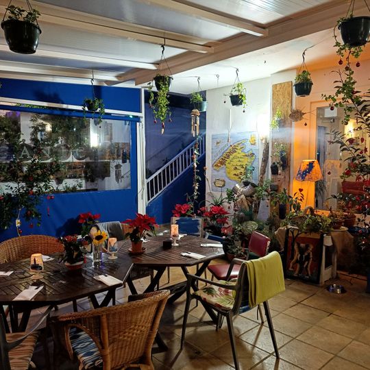 Organic, Restaurant Ecològic