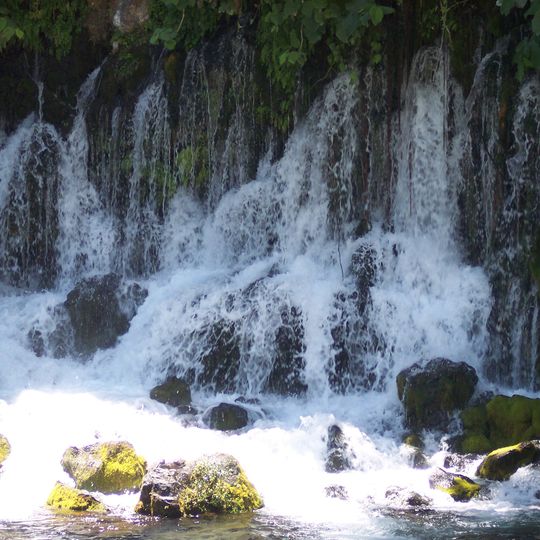 Actopan Municipality