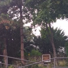 Vila so záhradou, záhrada