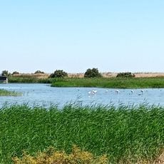 Tagus Estuary Natural Reserve