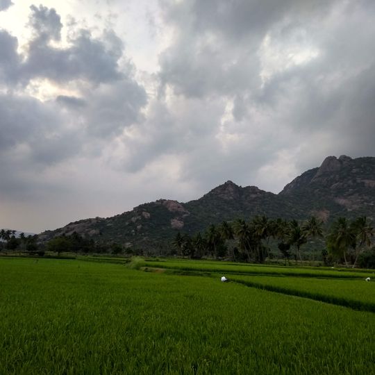 Kallakurichi district