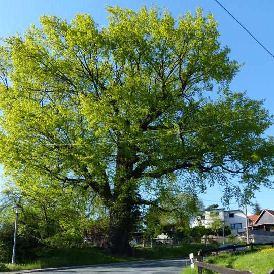 Pesterwitzer Pesteiche