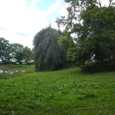 Manor park in Bąkowo