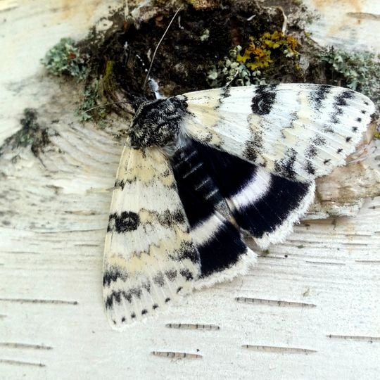 Beaver Creek Provincial Park