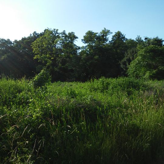 Jarovská bažantnica