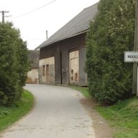 Makalovy