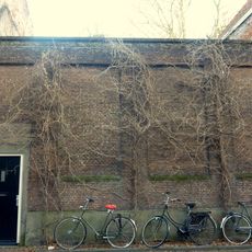 Poortje en tuinmuur met blinde nissen. Poortje modern