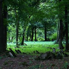 Old jewish cemetery in Dukla