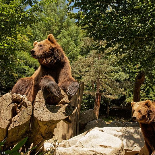 Parc animalier des Pyrénées