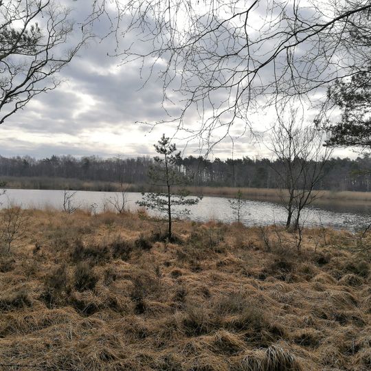 Vogelschutzgebiet 'Moore und Heiden des westlichen Münsterlandes'