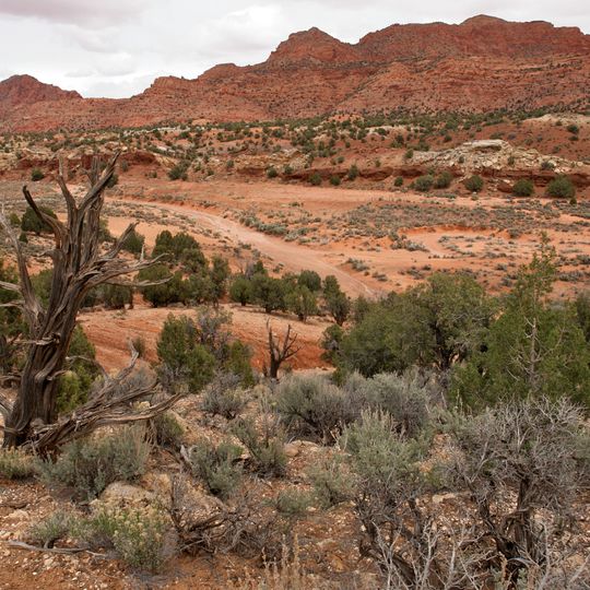 Paria Canyon-Vermilion Cliffs Wilderness
