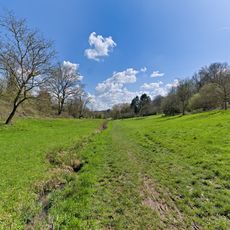 Wiesen im Süßen Gründchen bei Neuenhain