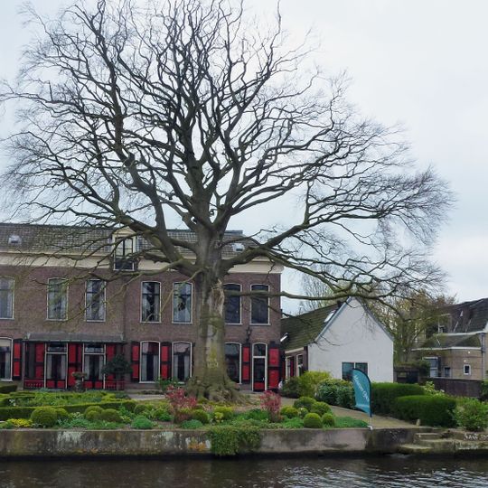 Achtertuin, Bisdom van Vliet