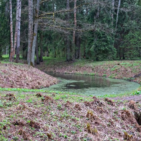Южный Верхний Новошалейный пруд с плотиной