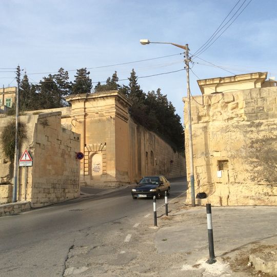 Notre Dame Curtain  – Floriana Lines