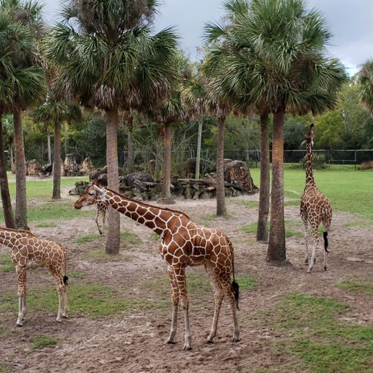Jacksonville Zoo and Gardens