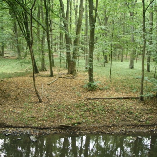 Jedlový les a údolí Rokytné