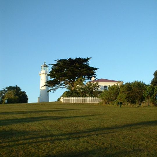 Tiritiri Matangi Island