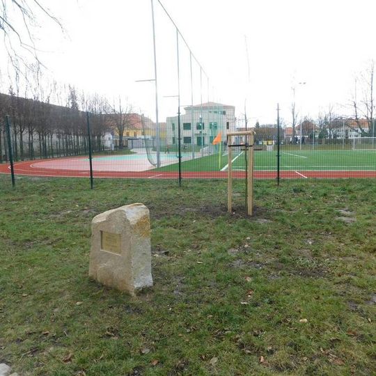 Strom sametové revoluce v Telči