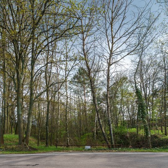 Sand pit west of Schildau