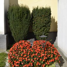 Grave of Alfred Kubin
