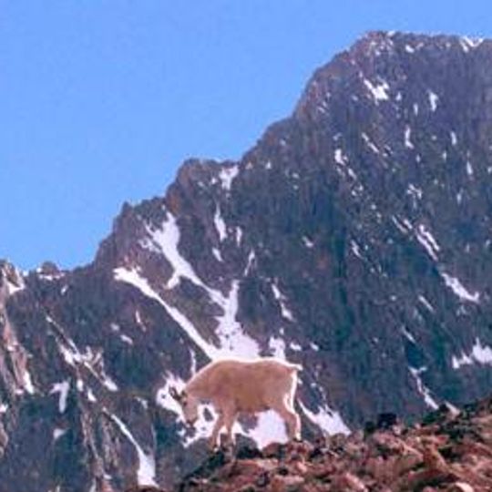 Custer National Forest
