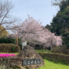 向麻山公園