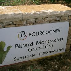 Bâtard-Montrachet
