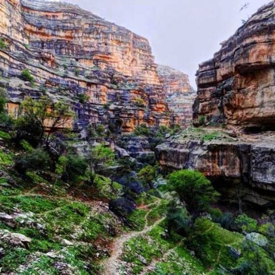 Shirz Canyon