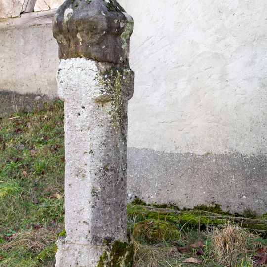 Steinmarter Betzenstein