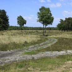 Leersumse Veld