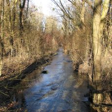 Gräben und Niedermoorreste im Dachauer Moos