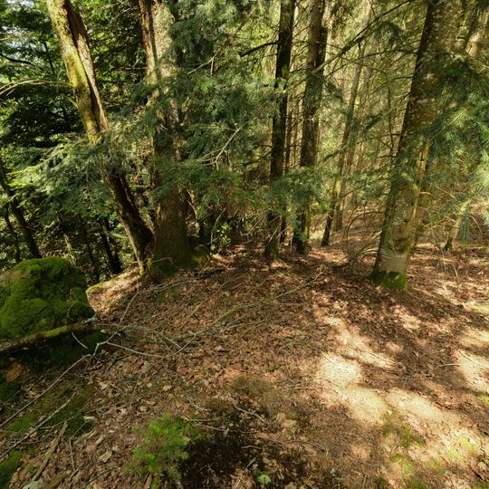 Éperon barré du Fou de Verdun