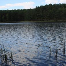 Nature reserve Piecki