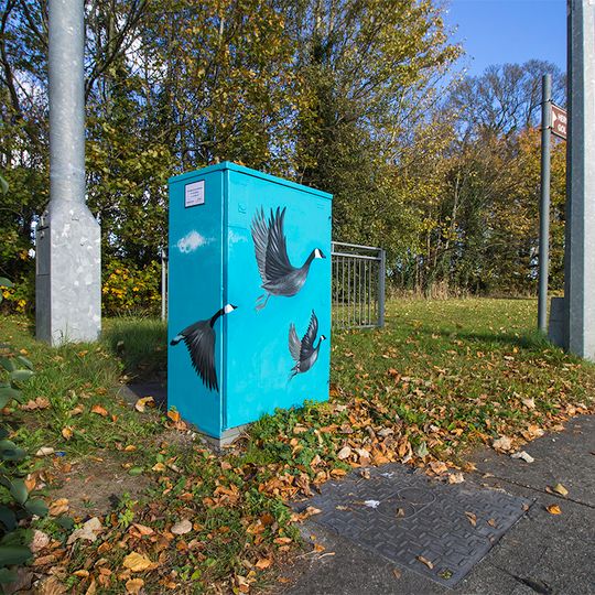 The flight of the wild geese