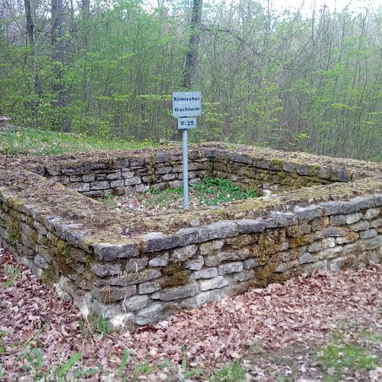 Barnholz Roman watchtower