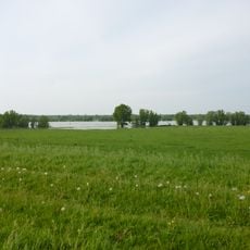 Rheinaue zwischen Büderich und Perrich