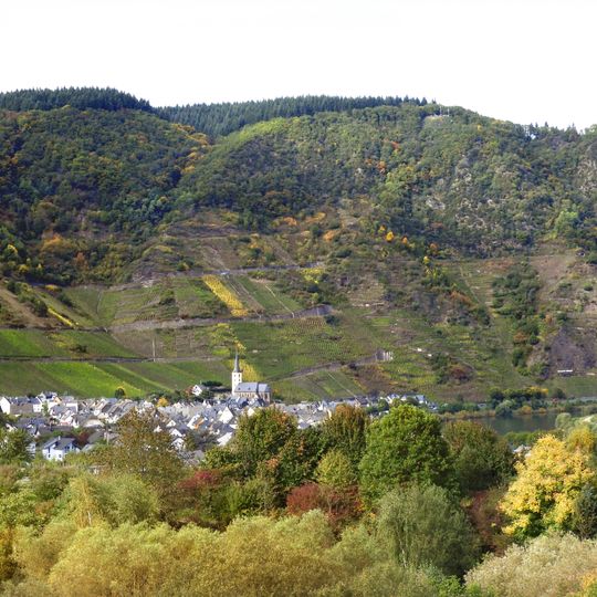 Wälder zwischen Wittlich und Cochem